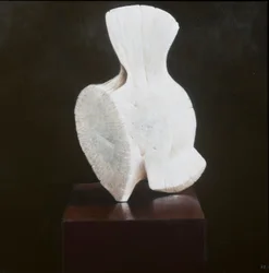 Vertèbre entière, 2012